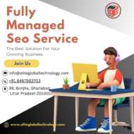 Fully Managed SEO Services